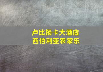 卢比扬卡大酒店 西伯利亚农家乐